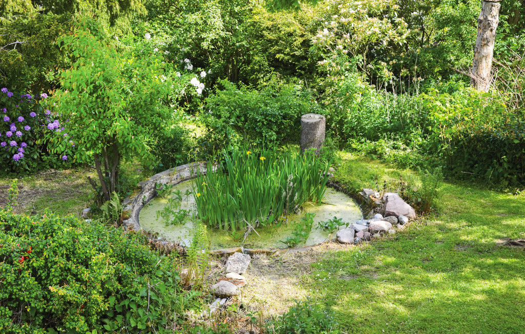 Feriehuse - Veddinge Bakker , Danmark - E19084 22