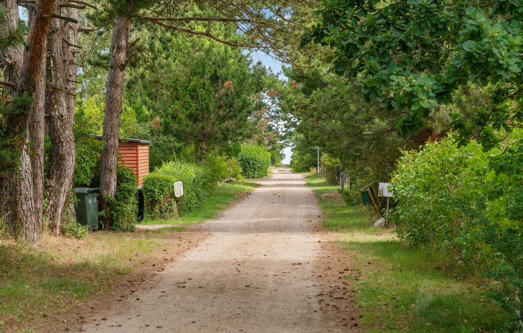 Ferienhaus - Ordrup , Dänemark - E19156 9