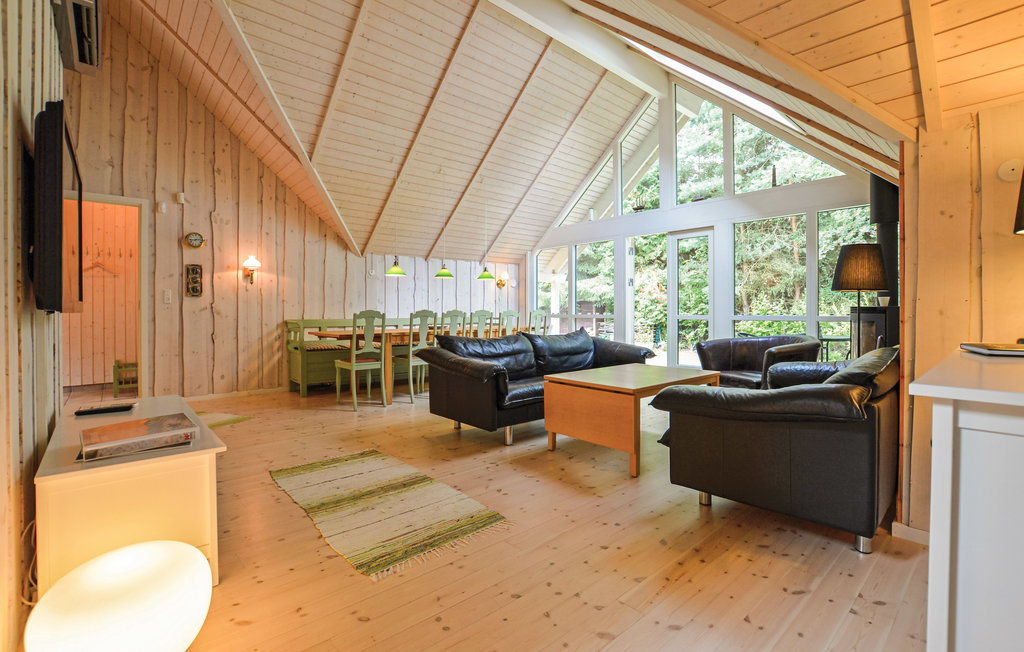 Ferienhaus - Hønsinge Lyng , Dänemark - E19431 15