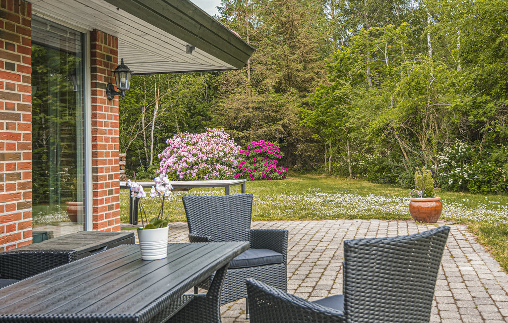 Ferienhaus - Ellinge Lyng , Dänemark - E19500 16