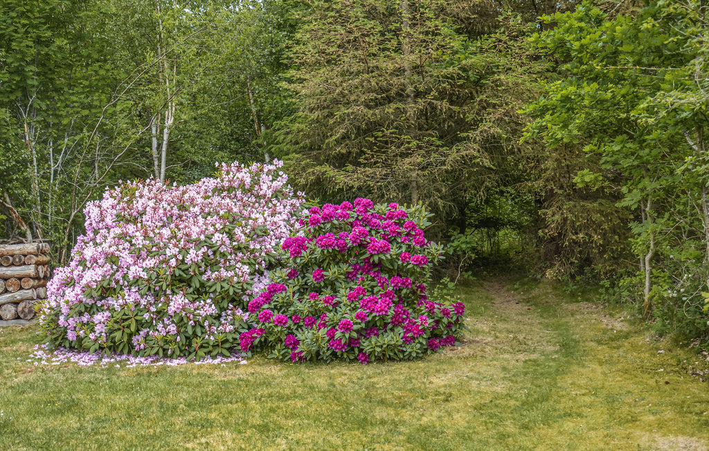 Ferienhaus - Ellinge Lyng , Dänemark - E19500 17