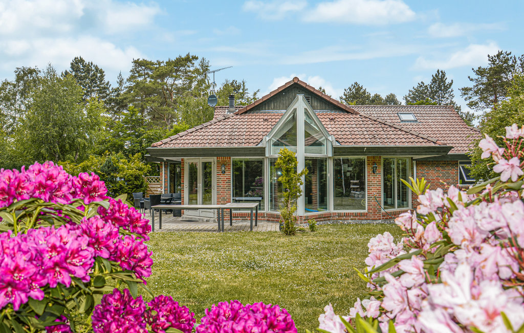 Ferienhaus - Ellinge Lyng , Dänemark - E19500 1