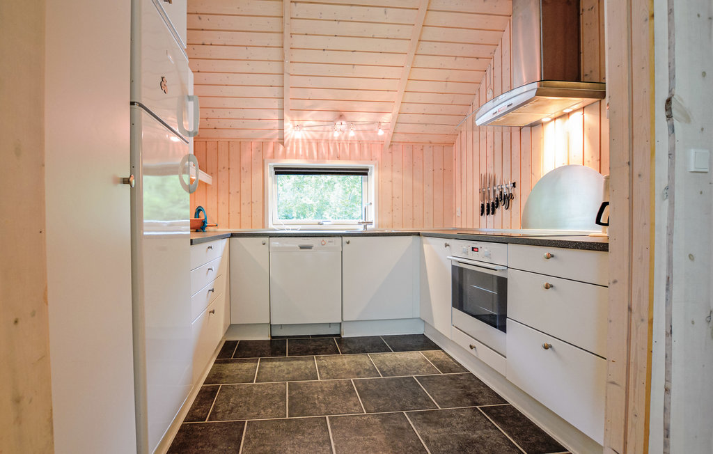 Ferienhaus - Hønsinge Lyng , Dänemark - E19431 18