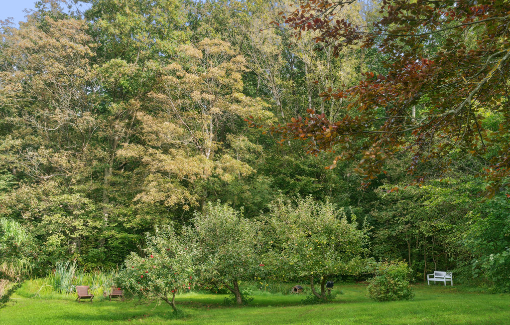Feriehuse - Veddinge Bakker , Danmark - E19190 21