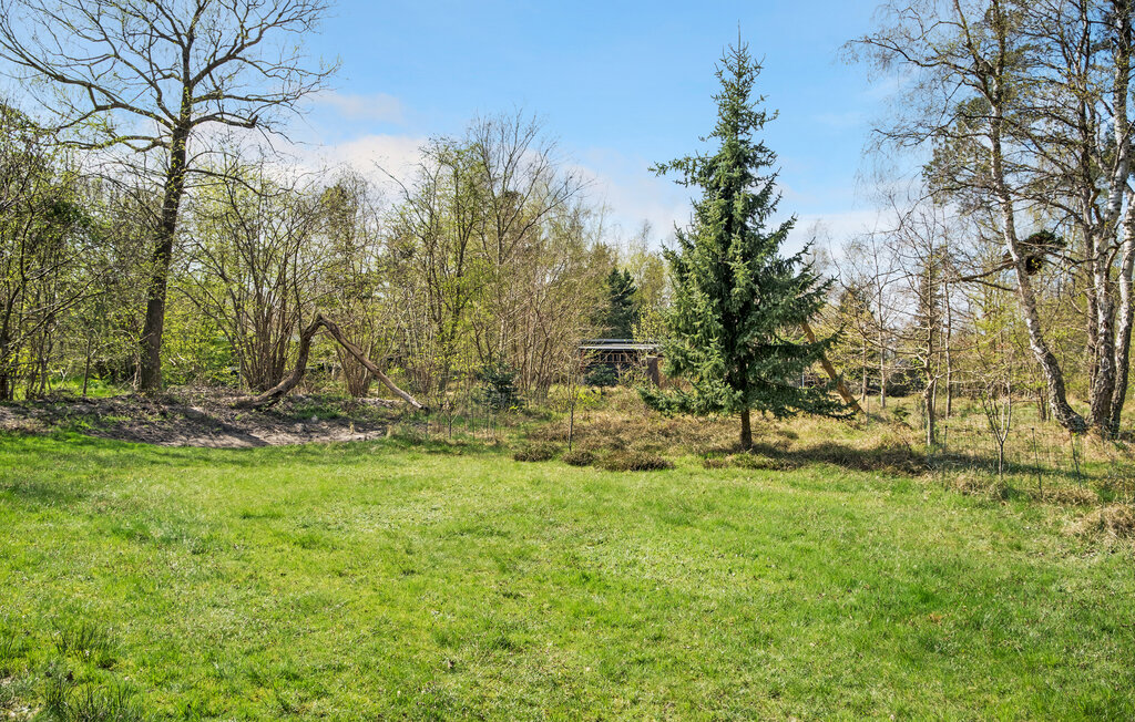 Ferienhaus - Sejerø Bugt , Dänemark - E19271 12