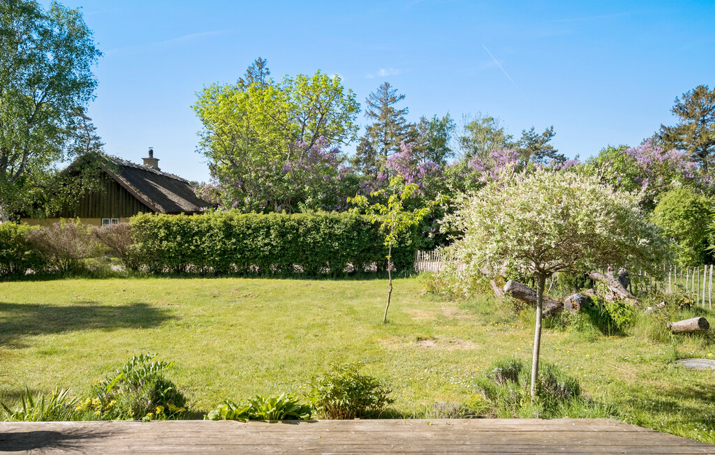 Feriehuse - Ellinge Lyng, Korevlerne , Danmark - E19350 13