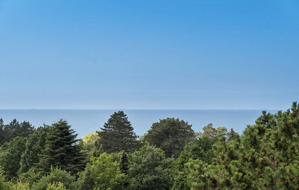 Feriehus - Veddinge Bakker , Danmark - E19147 9