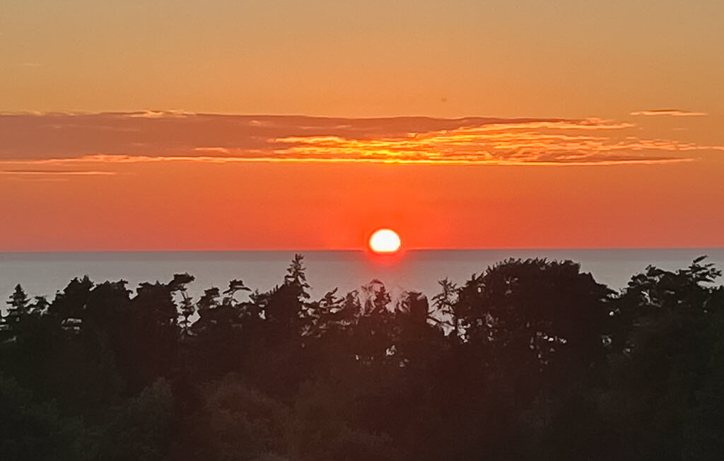 Feriehus - Veddinge Bakker , Danmark - E19147 18