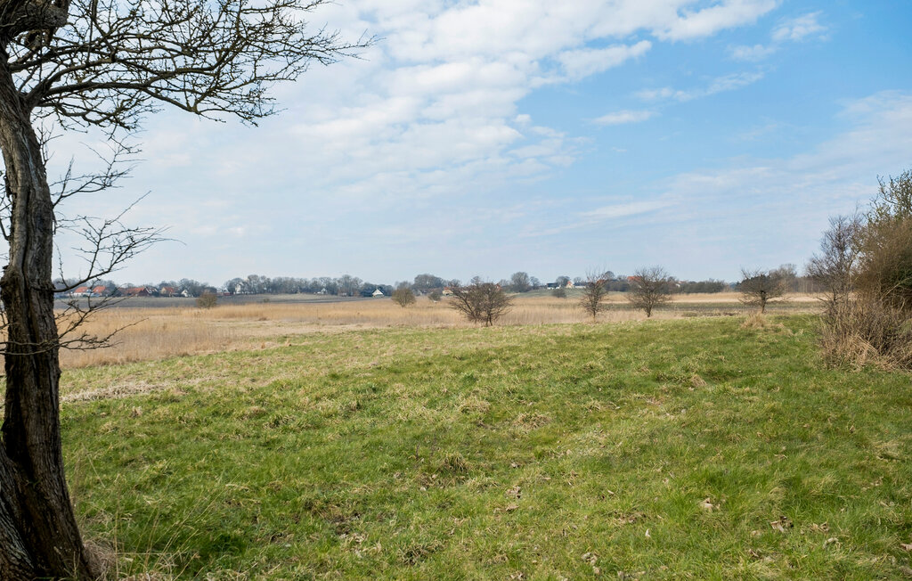 Feriehuse - Sejerø Strand , Danmark - E19992 14