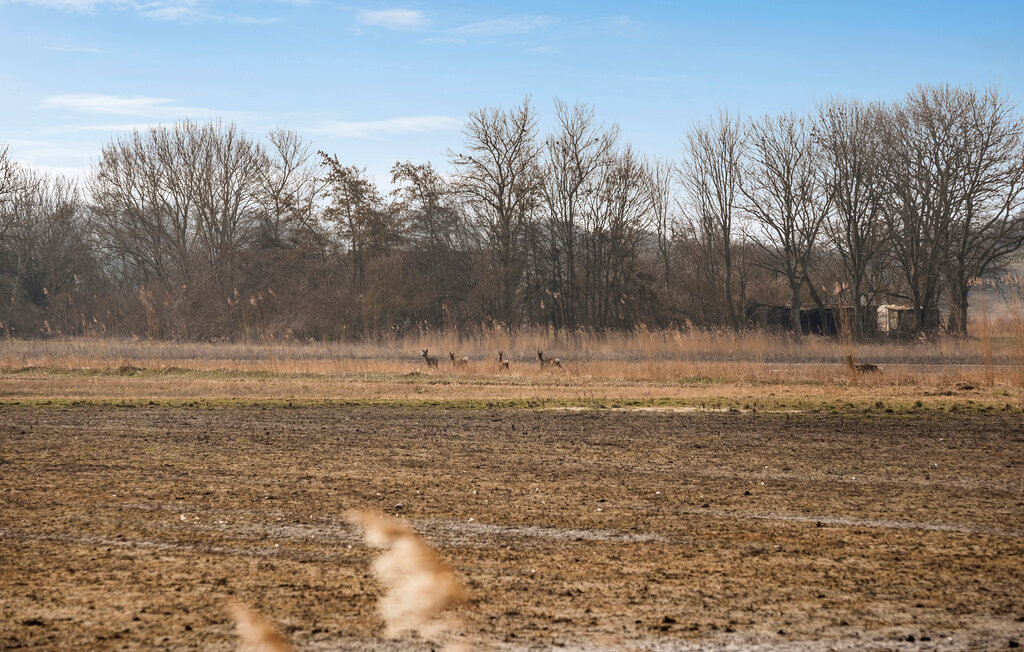Feriehuse - Sejerø Strand , Danmark - E19992 15
