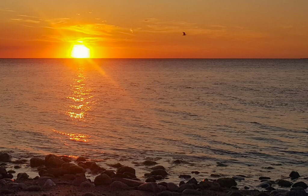 Feriehuse - Ordrup Strand , Danmark - E19394 22