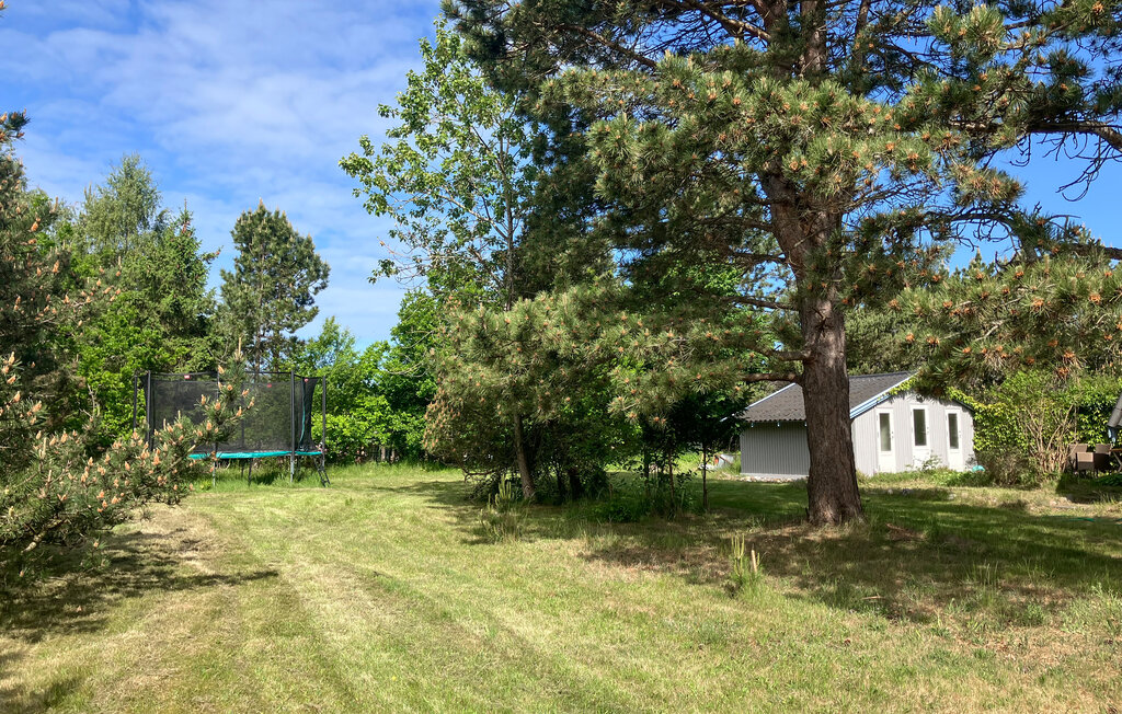 Ferienhaus - Ellinge Lyng , Dänemark - E19362 12