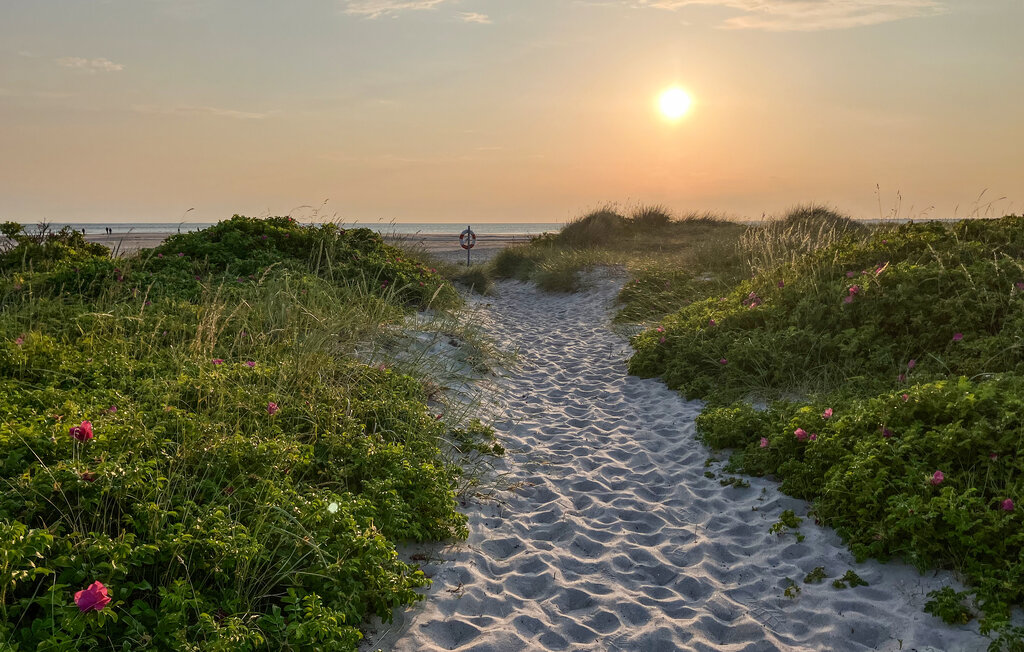 Ferienhaus - Ellinge Lyng , Dänemark - E19362 22