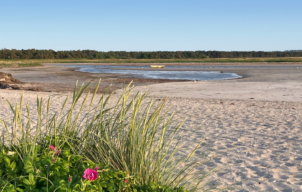 Ferienhaus - Ellinge Lyng , Dänemark - E19362 24