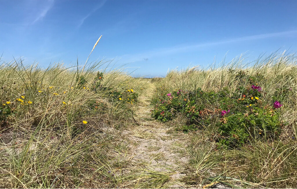 Ferienhaus - Ellinge Lyng , Dänemark - E19500 37