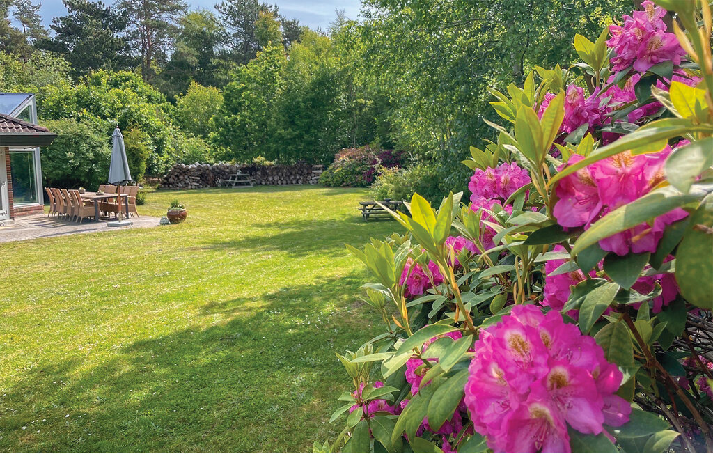 Ferienhaus - Ellinge Lyng , Dänemark - E19500 16
