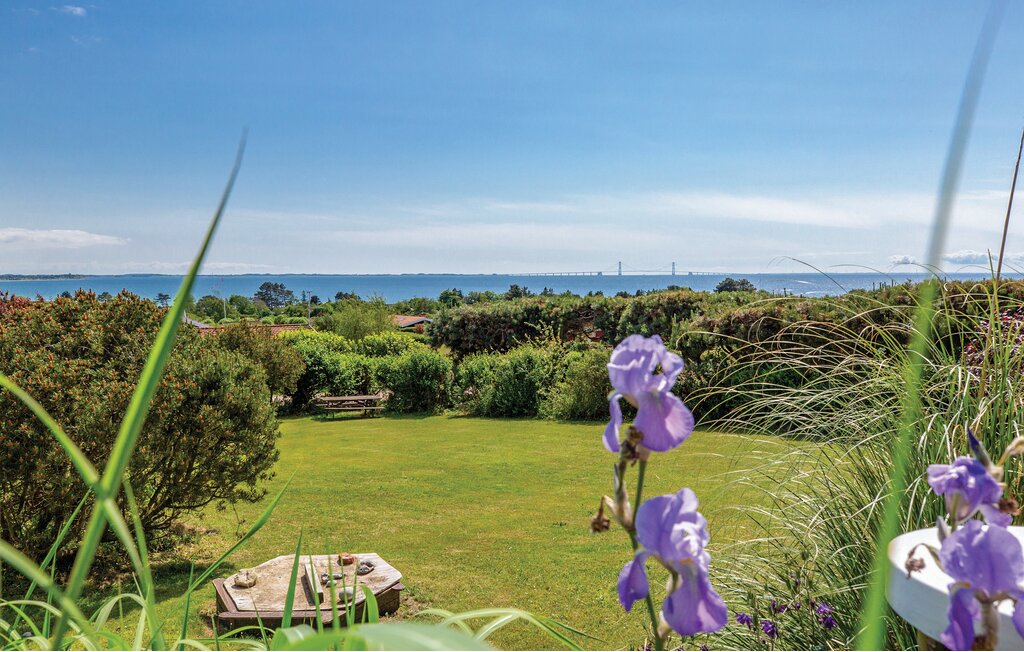 Ferienhaus - Drøsselbjerg , Dänemark - E20451 13