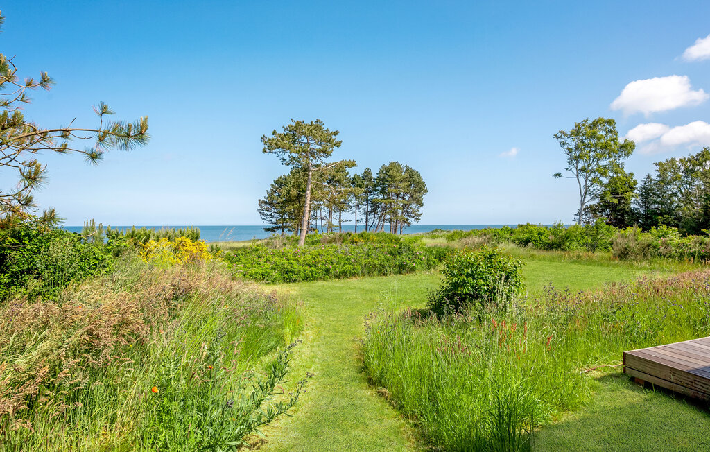 Ferienhaus - Vollerup Strand , Dänemark - E20090 16