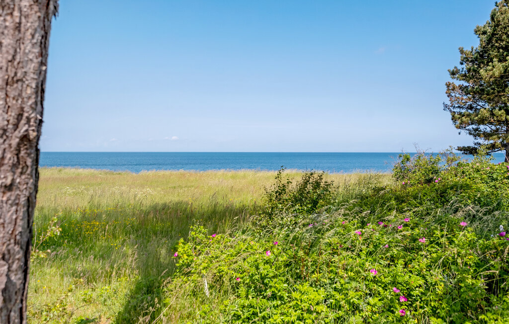 Ferienhaus - Vollerup Strand , Dänemark - E20090 15