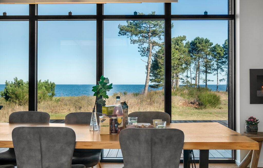 Ferienhaus - Vollerup Strand , Dänemark - E20090 18