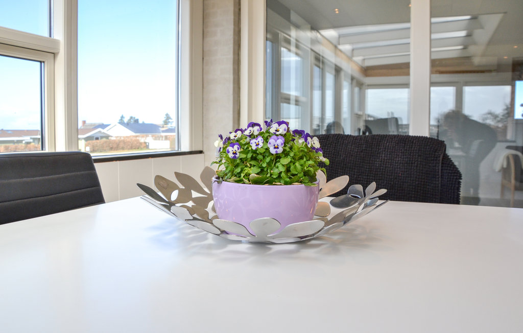 Ferienhaus - Drøsselbjerg , Dänemark - E20443 20