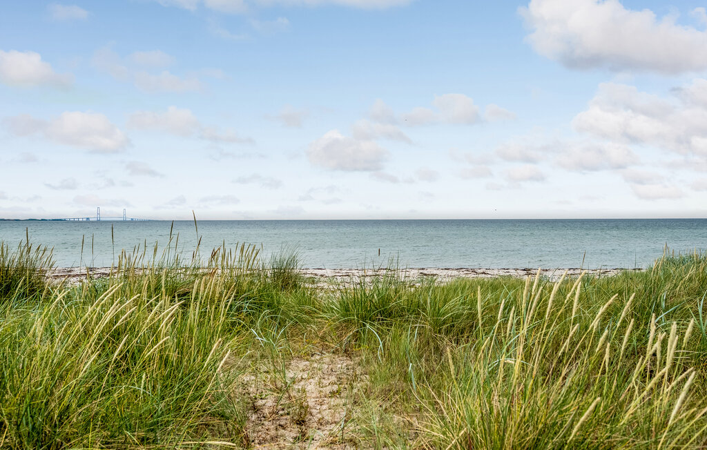 Ferienhaus - Næsby Strand , Dänemark - E20080 31