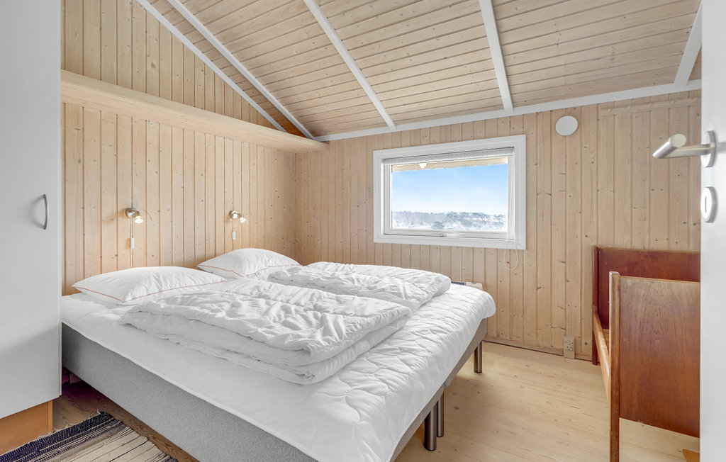 Feriehuse - Drøsselbjerg , Danmark - E20442 17