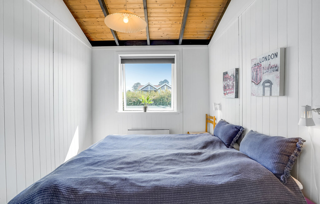 Ferienhaus - Drøsselbjerg , Dänemark - E20488 20