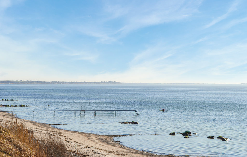 Ferienhaus - Drøsselbjerg , Dänemark - E20440 18