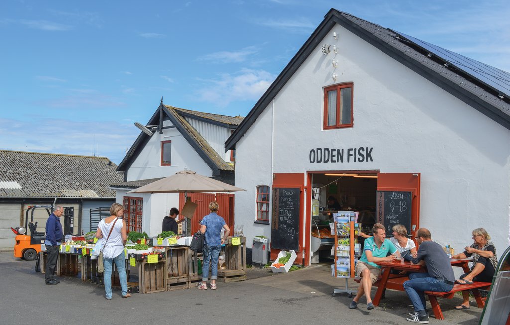 Feriehuse - Gniben Strand , Danmark - E20144 28