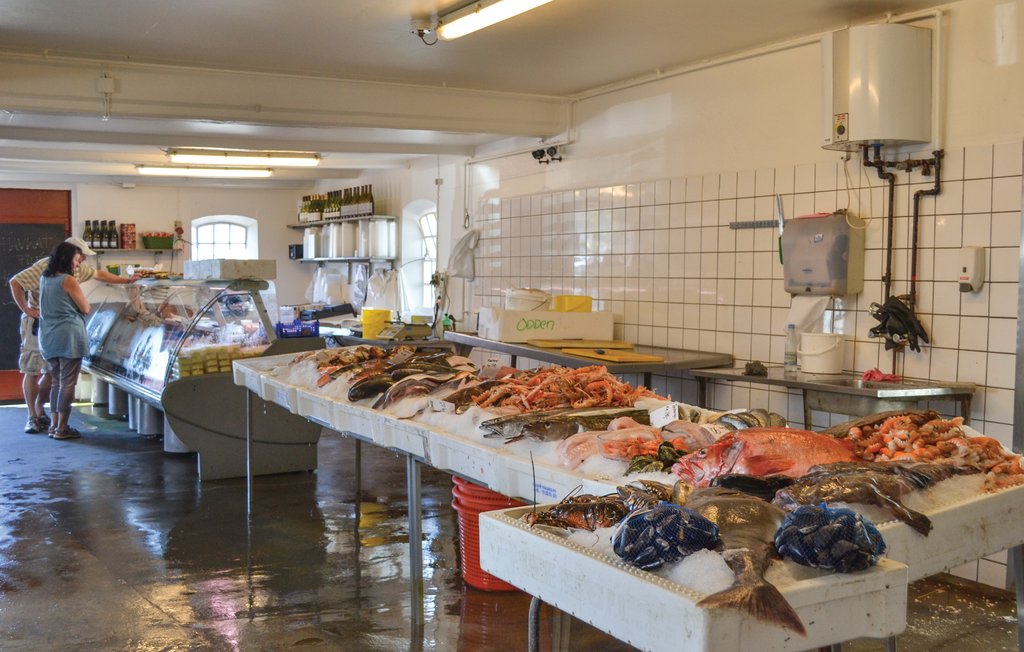 Feriehuse - Gniben Strand , Danmark - E20144 29
