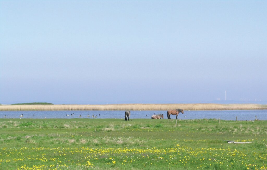 Ferienhaus - Reersø , Dänemark - E20554 28