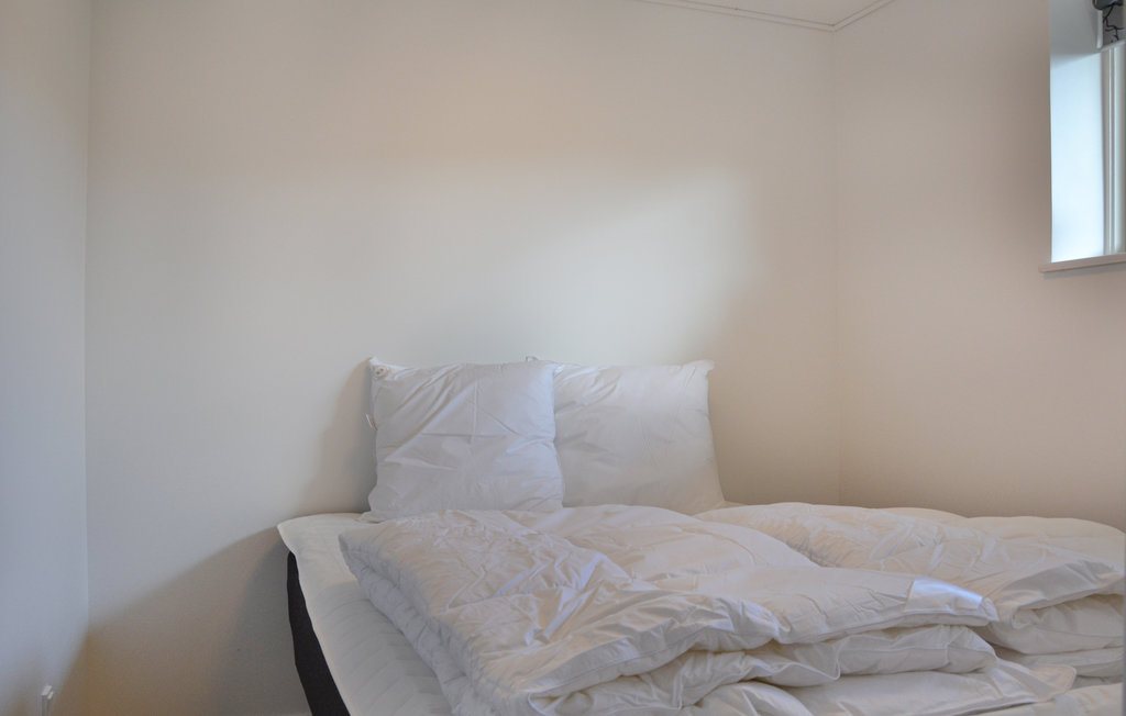 Ferienhaus - Drøsselbjerg , Dänemark - E20443 26