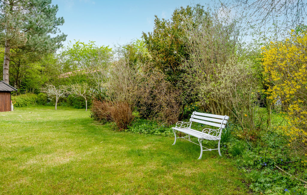 Ferienhaus - Kelstrup , Dänemark - E20065 17
