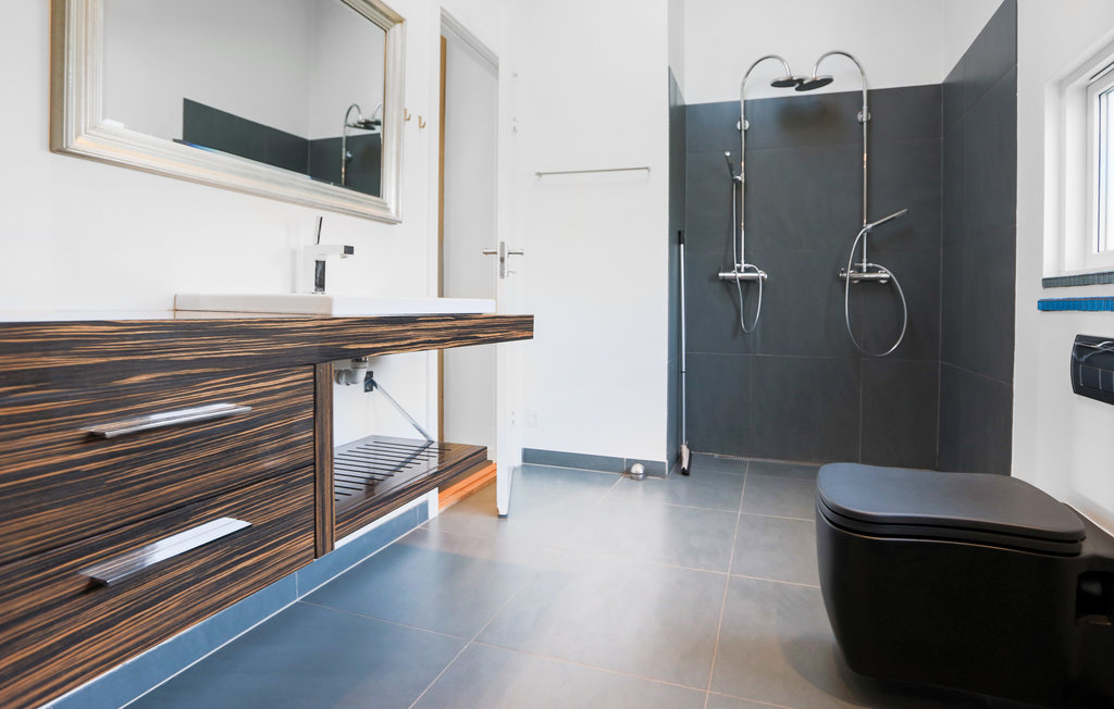 Ferienhaus - Drøsselbjerg , Dänemark - E20420 20