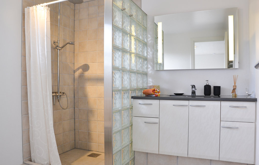 Ferienhaus - Drøsselbjerg , Dänemark - E20443 29