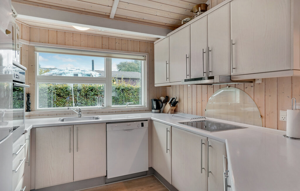 Semesterhus - Drøsselbjerg strand , Danmark - E20091 6