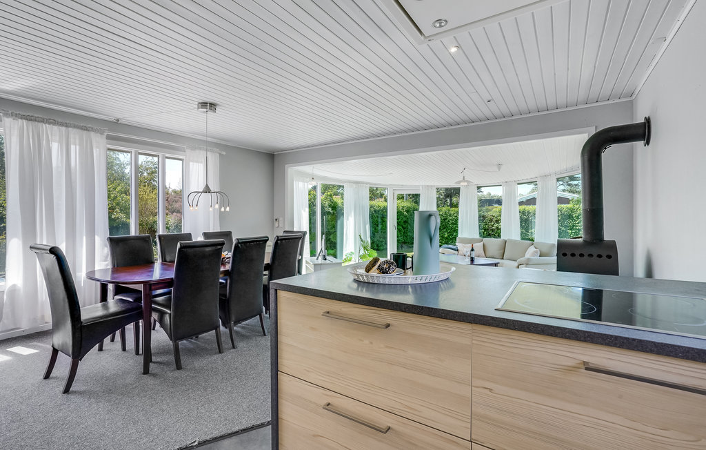 Ferienhaus - Kongsmark , Dänemark - E20078 18