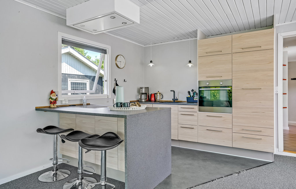 Ferienhaus - Kongsmark , Dänemark - E20078 7