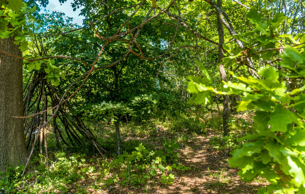 Feriehuse - Bjerge Sydstrand , Danmark - E20163 14