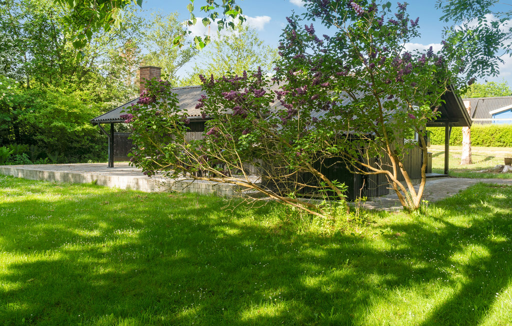 Feriehus - Kaldred , Danmark - E20152 8