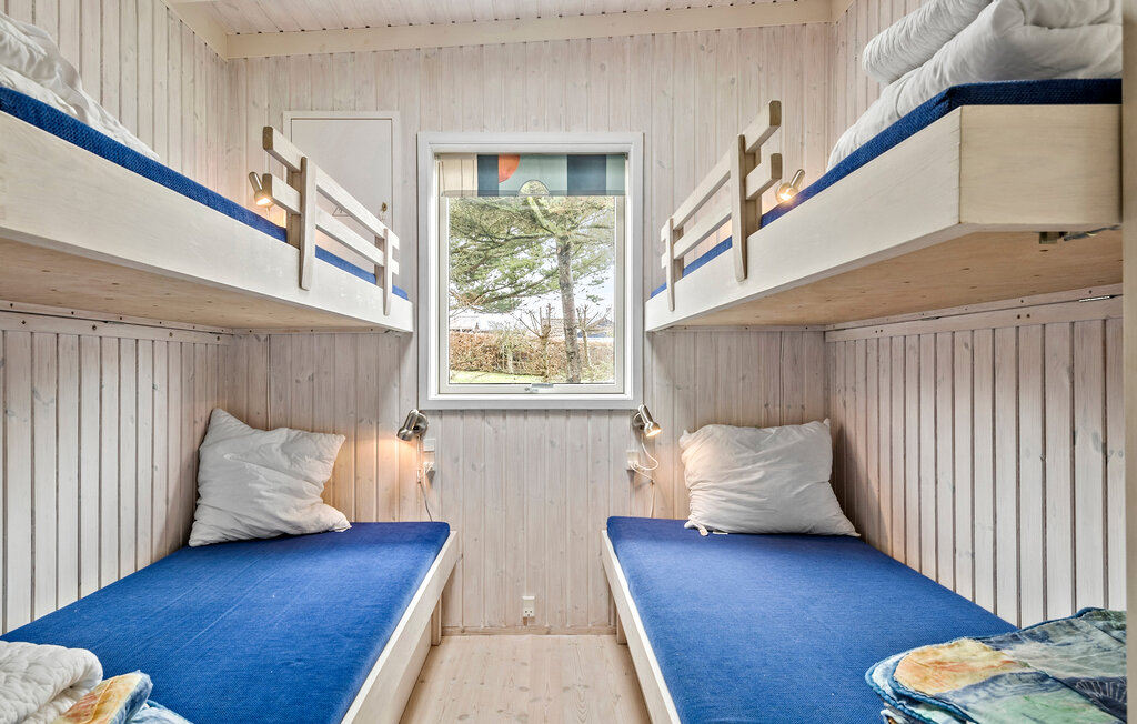 Ferienhaus - Drøsselbjerg , Dänemark - E20451 19