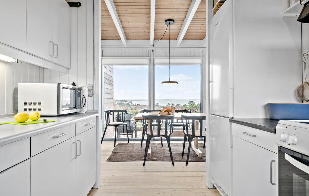 Ferienhaus - Drøsselbjerg , Dänemark - E20451 8