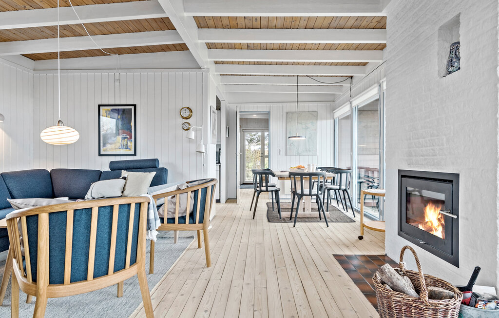 Ferienhaus - Drøsselbjerg , Dänemark - E20451 5