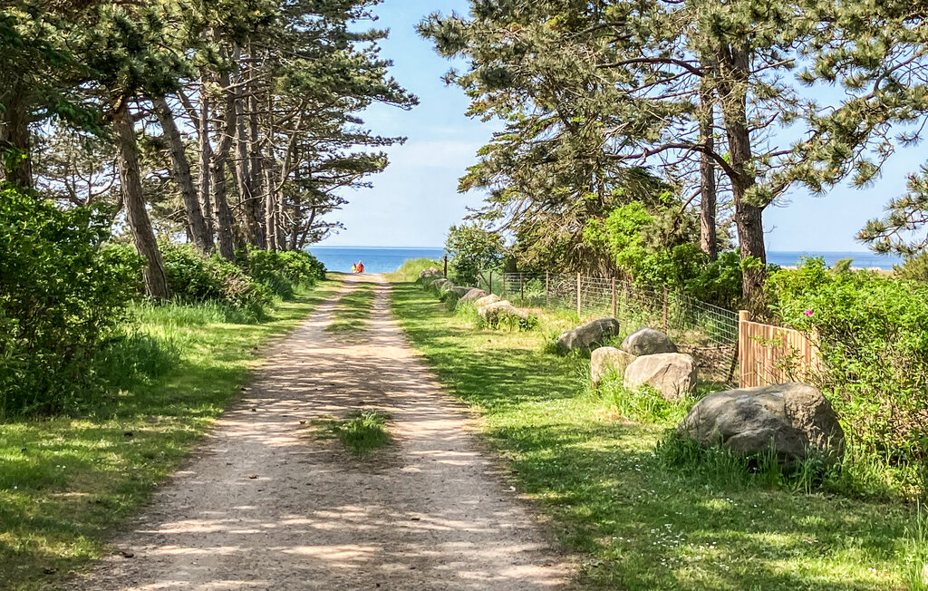 Domy wakacyjne - Bjerge Nordstrand , Dania - E20483 16