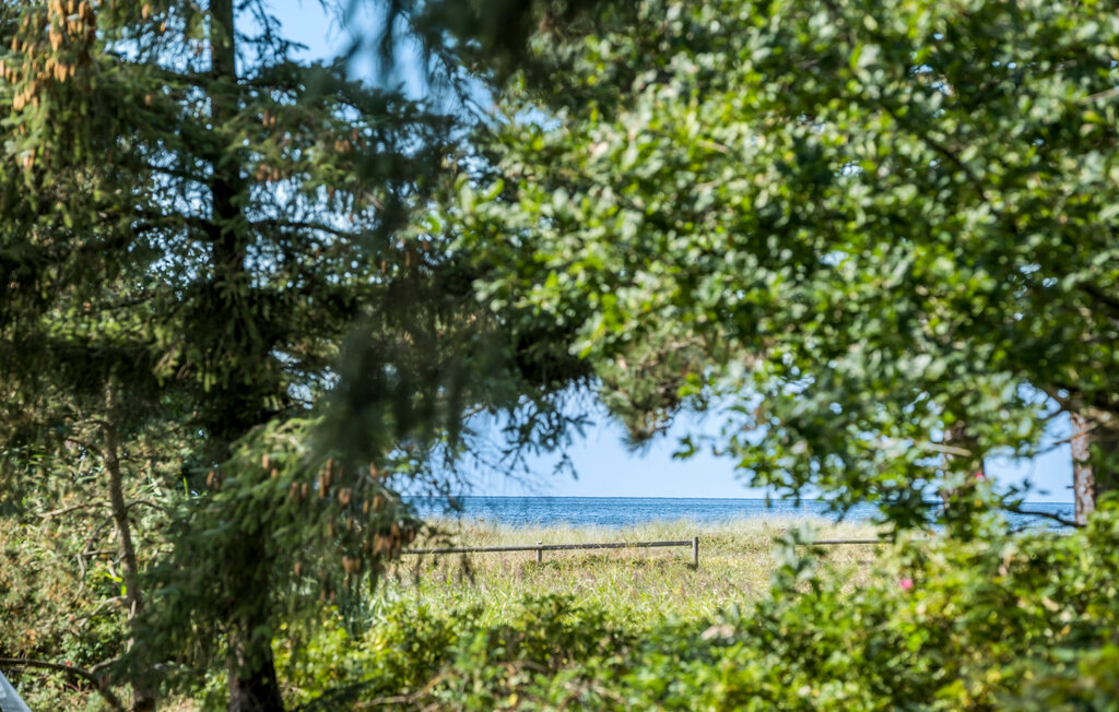 Feriehuse - Bjerge Sydstrand , Danmark - E20172 9