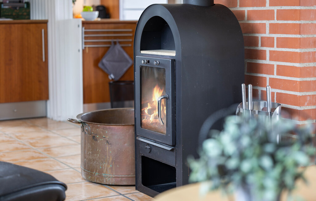 Ferienhaus - Drøsselbjerg , Dänemark - E20440 12