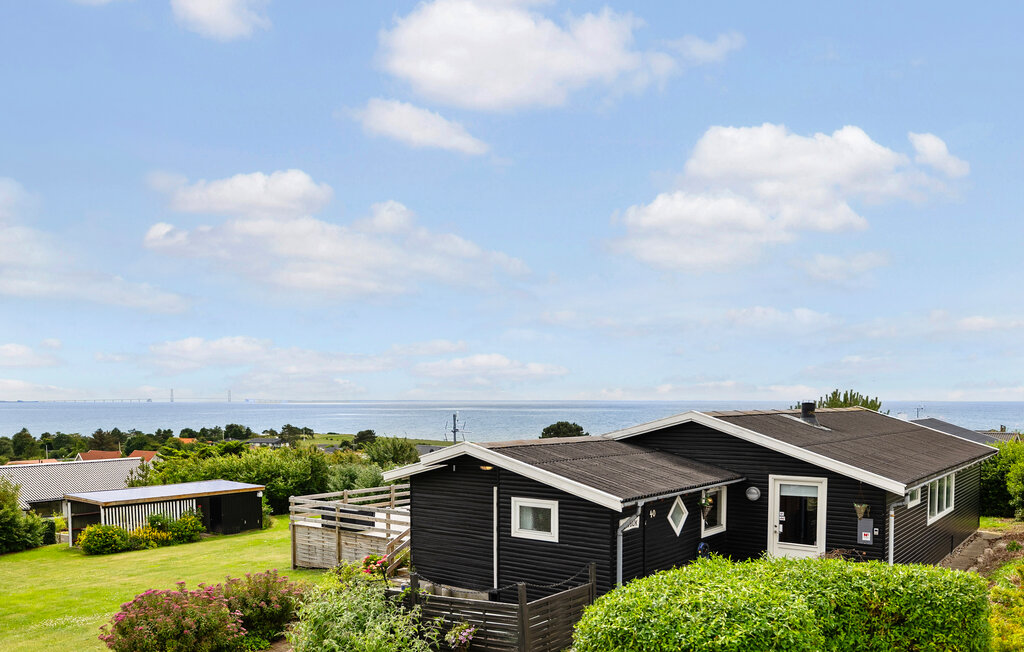 Ferienhaus - Drøsselbjerg , Dänemark - E20440 1