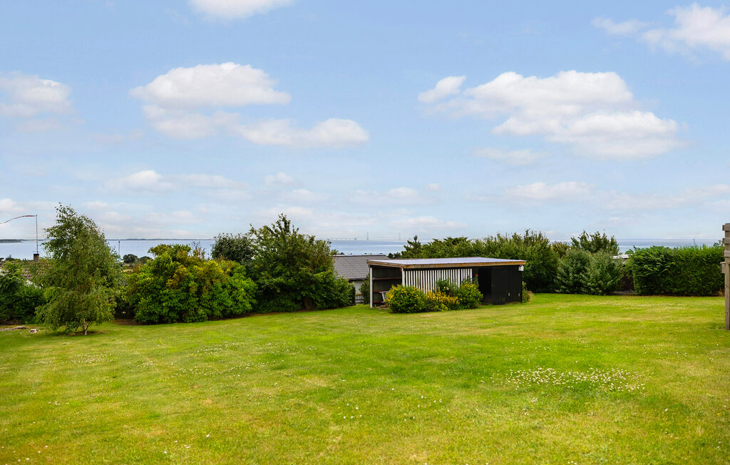 Ferienhaus - Drøsselbjerg , Dänemark - E20440 11
