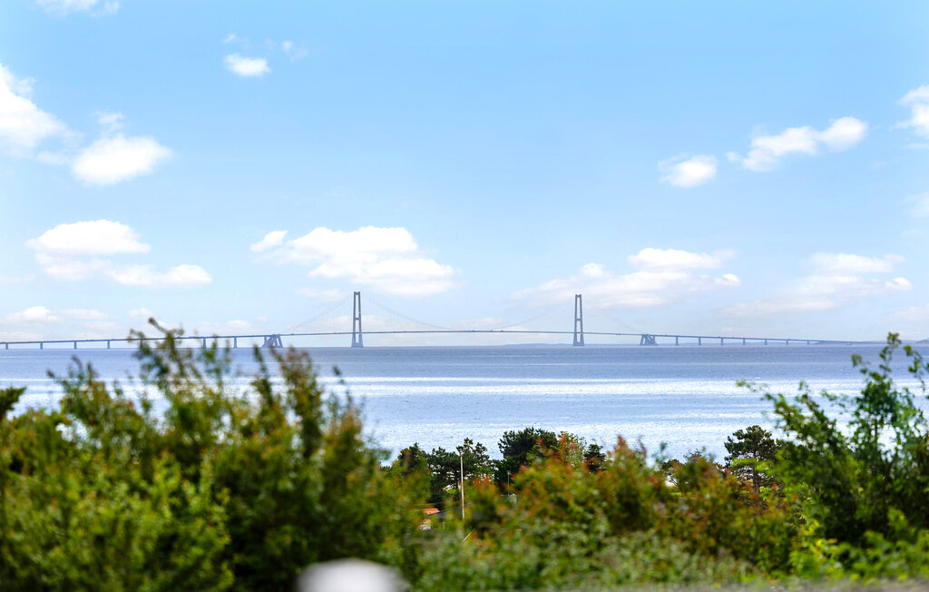 Ferienhaus - Drøsselbjerg , Dänemark - E20440 9